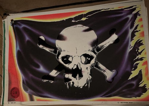 Affiche vintage pirate crane - affiche,