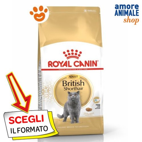 Royal canin chat adulte - chat,