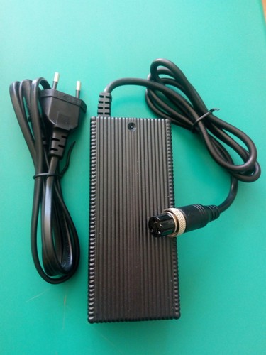 Alimentatore pour hoverboards - alimentatore,