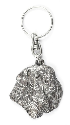 Bouvier des flandres - des,