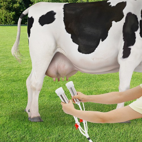 Pulsation cow milking machine - pulsation,