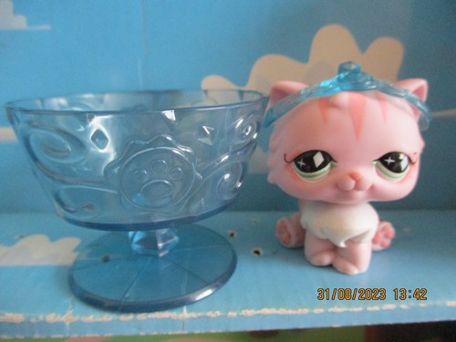Petshop chat persan 460 - persan, +