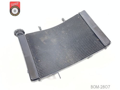 Radiateur eau triumph street - d'eau,