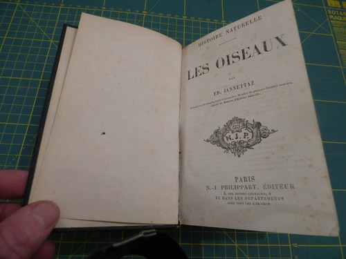 Les oiseaux histoire - les,