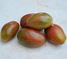 Sweet Tooth Tomato - Tomato 5+ Seeds - Seeds - Seeds - Graines P 321