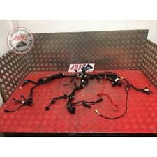 Faisceau électrique principale Yamaha R6 2017 à 2020