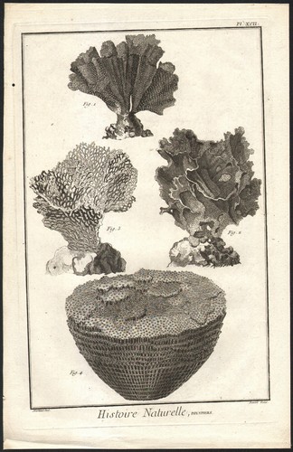 1768 gravure originale - 1768,