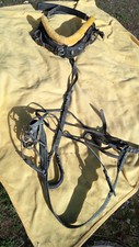 Harnais  d&#039;attelage taille cob cuir noir occasion état correct