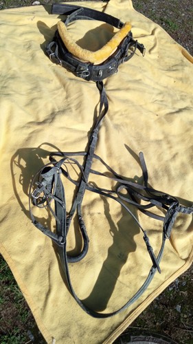 Harnais attelage taille cob - , d'attelage