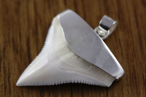 Myringshop pendentif dent - pendentif,