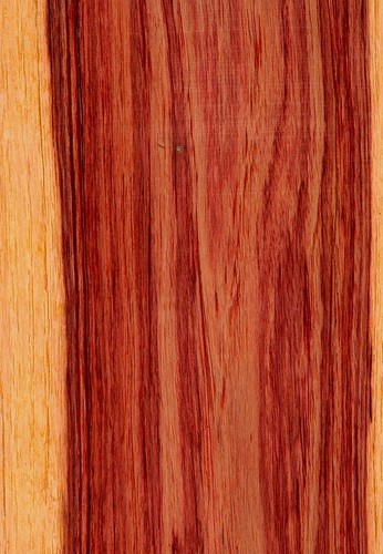 Huile essentielle bois - huile,