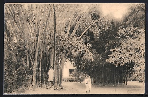 Cpa madagascar les beaux - cpa, madagascar,