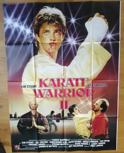 Karate warrior kim - karate, stuart