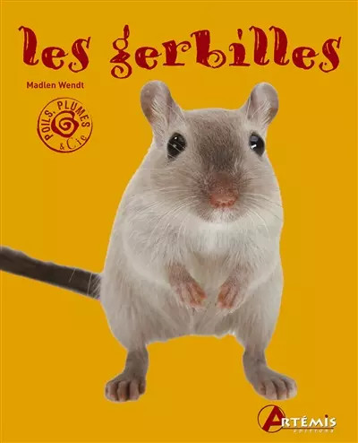 Les gerbilles collectif - gerbilles,,