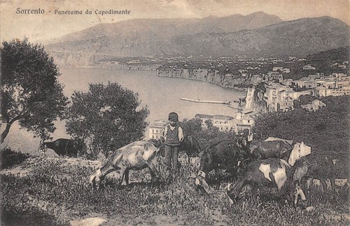 Cpa italie sorrento - /,