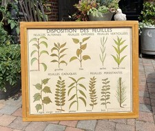 ancienne affiche scolaire