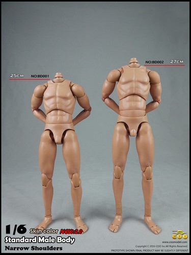 Coomodel narrow shoulder - ,
