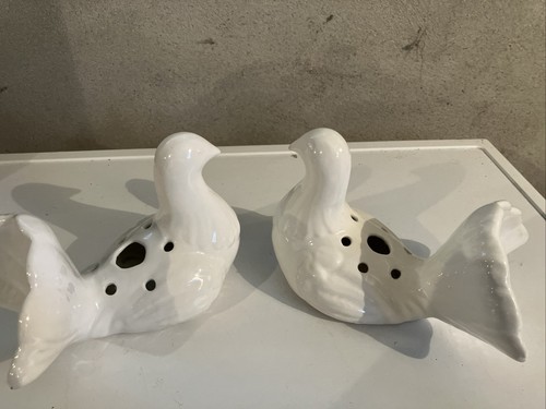 Oiseaux pique fleur - pique,