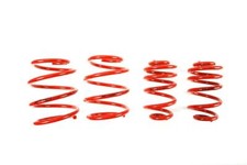 Ressorts court MTS BMW Serie 3