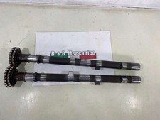 105020320001 Arbres A Cames