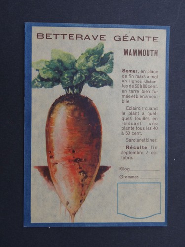 Ancienne étiquette betterave - ancienne,