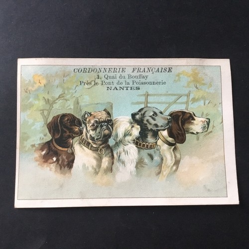 Chiens chromo ancien - chiens,