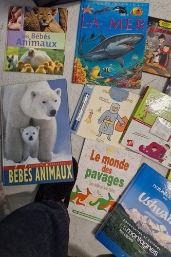 Lot livres enfant