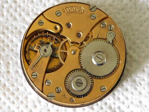 Mouvement gousset doxa - mouvement,