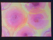 Nébulus 5.5 - Une peinture surréaliste originale par R. McCutcheon