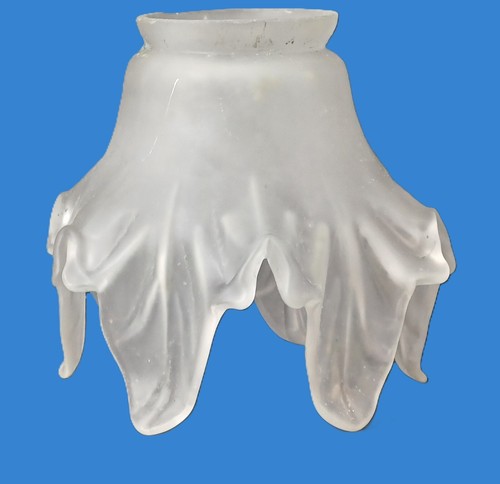 Jolie tulipe opaline pour - tulipe,