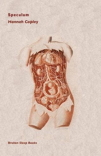 Hannah copley speculum - copley,