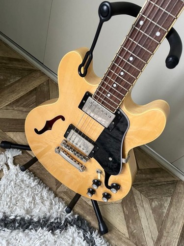 Guitare semi creuse - guitare, epiphone
