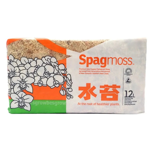 Mousse sphaigne de - mousse,