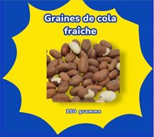 NOIX DE PETIT COLA / KOLA /