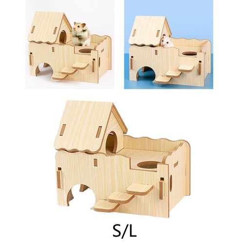 Jouet exercice pour - pour, hamster
