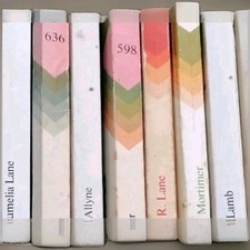 LOT  livres anciens romans
