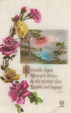 CP SWALLOW LIGHT MESSENGER ... LANDSCAPE FRAME ROSES FLOWERS - 16763