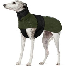 Manteau d'hiver Levrier