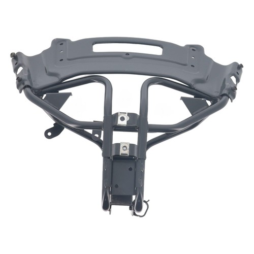 Araignée gilera nexus - (gilera,