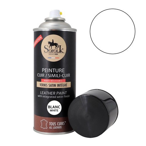 Peinture cuir canapé siège - peinture,