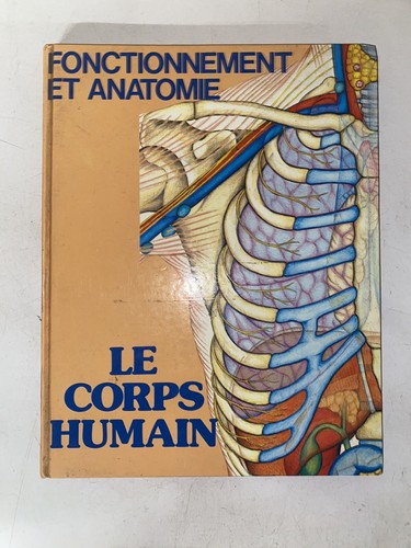 Corps humain fonctionnement - corps,