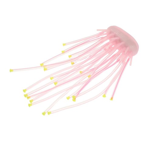 Accessoires pour aquarium - ,