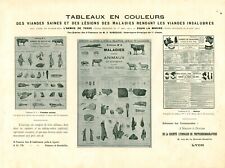 Antique Advertising Document Paintings of Healthy Meat and Injuries 1906