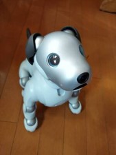Sony AIBO ERS-1000 Entertainment Robot Dog Ivory White From Japan working used