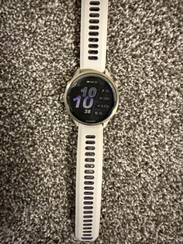 Garmin forerunner 970 - forerunner,
