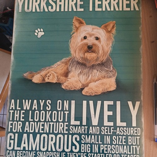 Yorkshire terrier plaque - terrier,