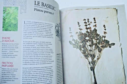 Curiosa herbier érotique - curiosa, érotique-