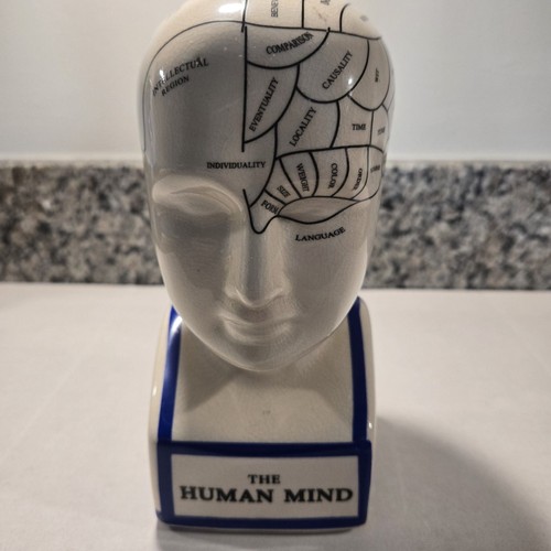 Medical phrenology head - medical, bust