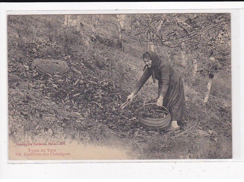 Types tarn cueillette des - tarn, :