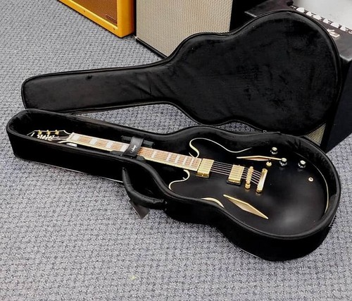2022 epiphone emily wolfe - epiphone,
